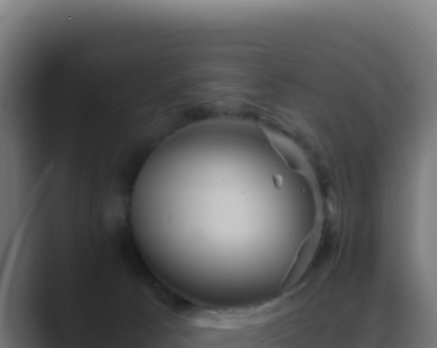 X0000089750033200706281633