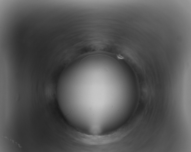 X0000089750034200706281633