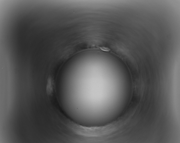 X0000089750038200706281633