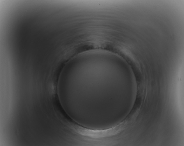 X0000089750039200706281633