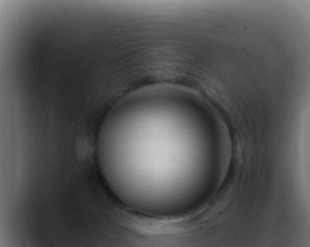 X0000089750040200706281633