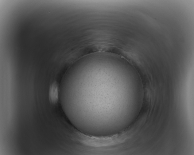 X0000089750042200706281633