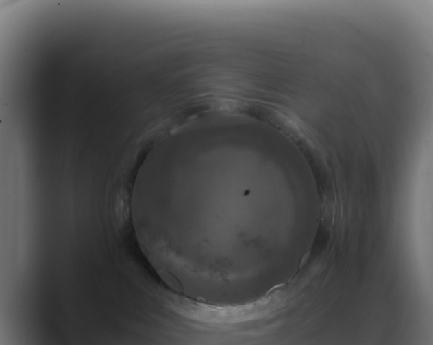 X0000089750043200706281633