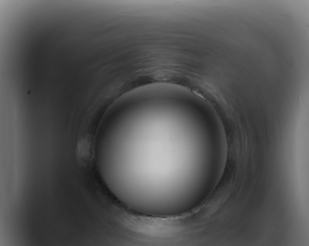 X0000089750044200706281633