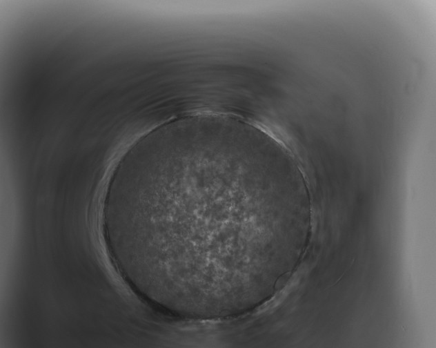 X0000089750049200706281633