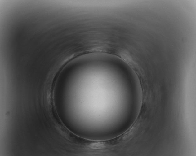 X0000089750050200706281633