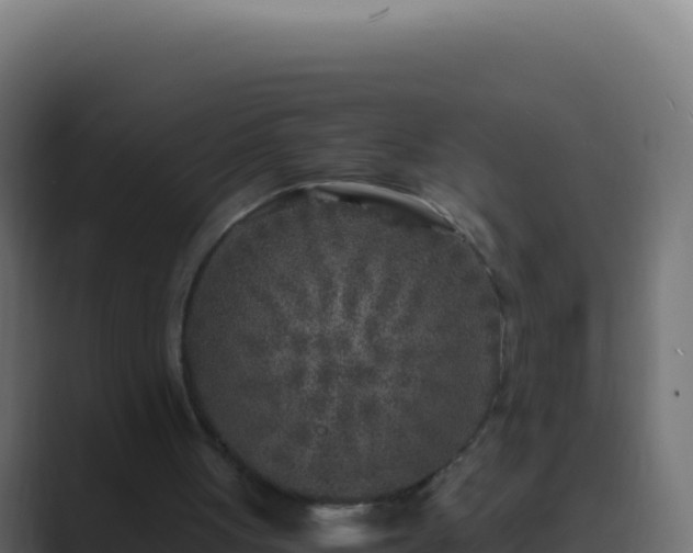 X0000089750051200706281633