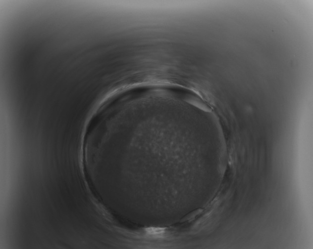 X0000089750052200706281633