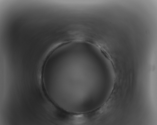 X0000089750054200706281633