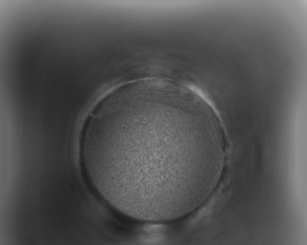 X0000089750055200706281633