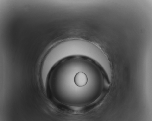 X0000089750056200706281633