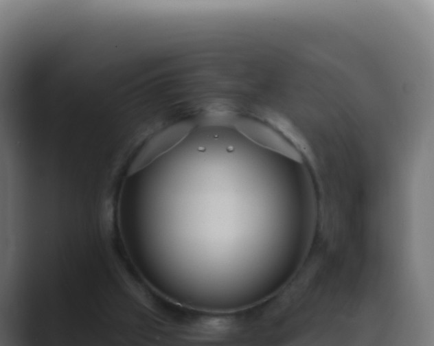 X0000089750057200706281633