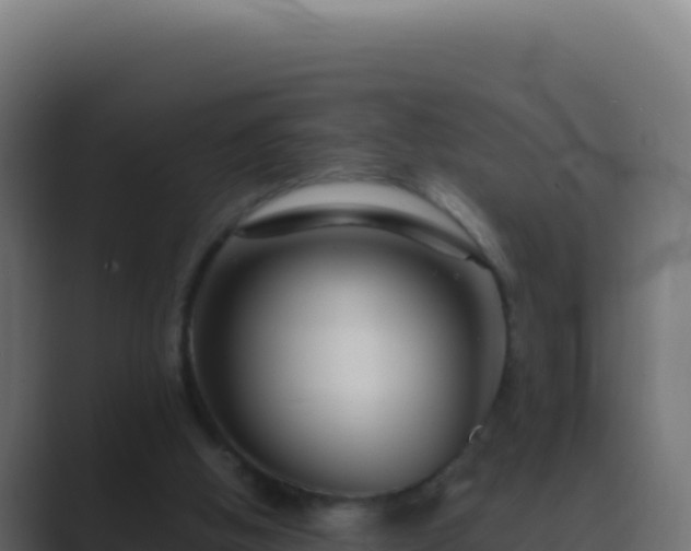 X0000089750058200706281633