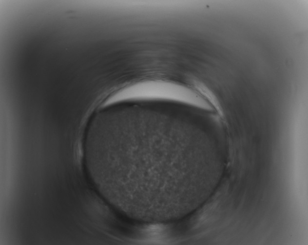 X0000089750059200706281633