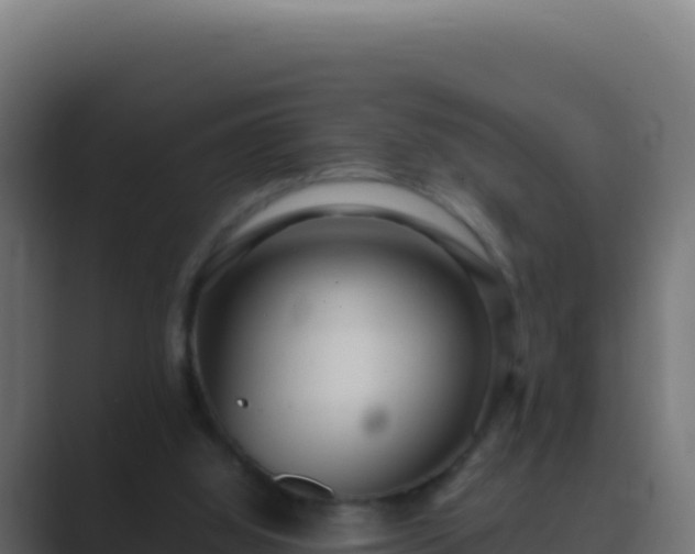 X0000089750060200706281633