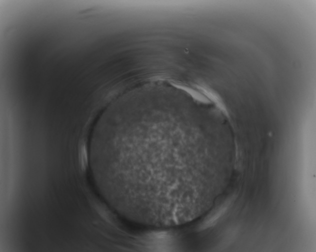 X0000089750061200706281633