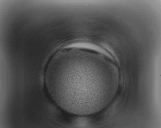 X0000089750063200706281633