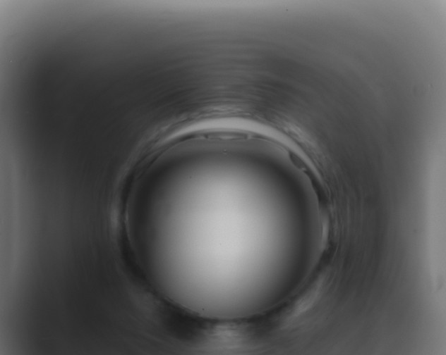 X0000089750064200706281633