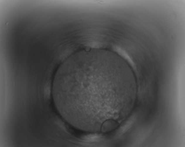 X0000089750065200706281633