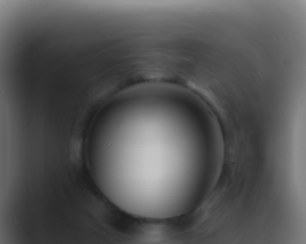 X0000089750066200706281633