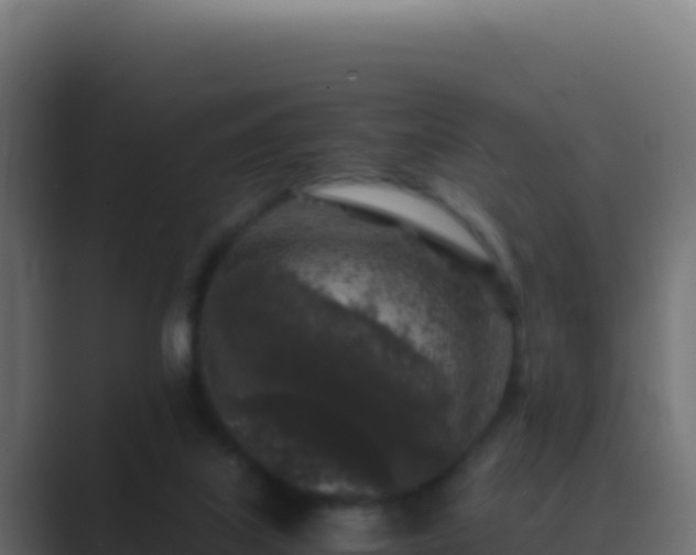 X0000089750067200706281633