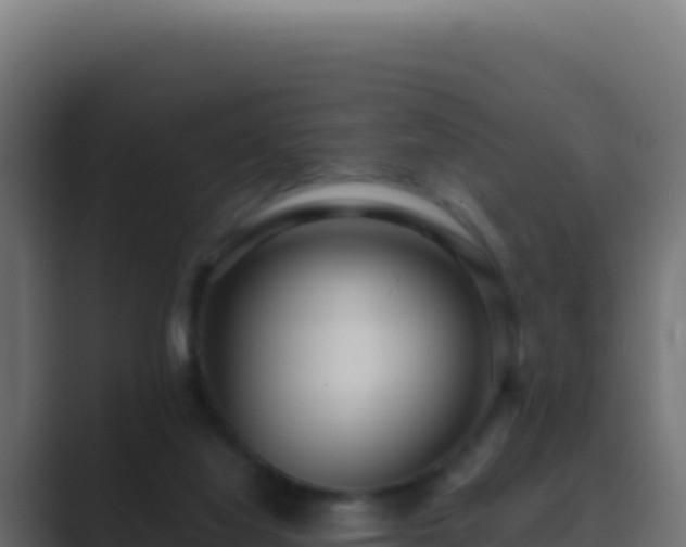 X0000089750068200706281633