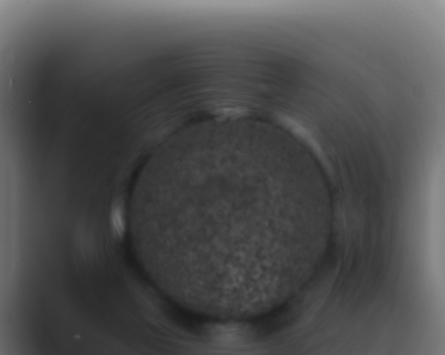 X0000089750069200706281633