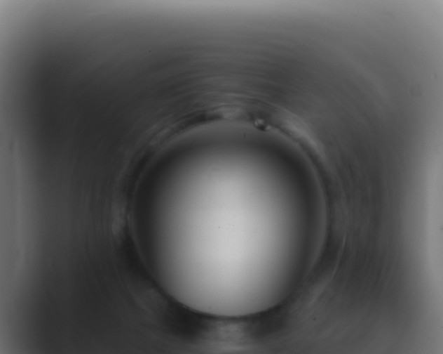 X0000089750073200706281633