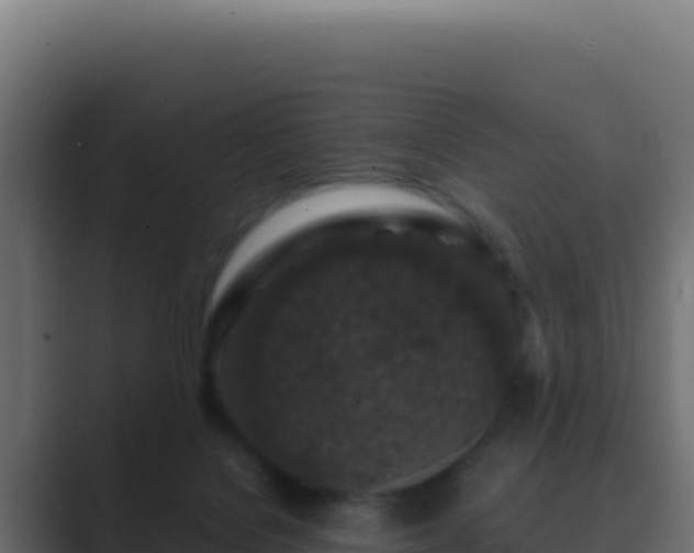 X0000089750076200706281633