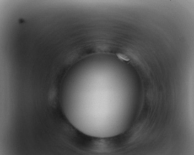 X0000089750079200706281633