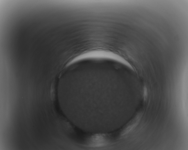 X0000089750080200706281633