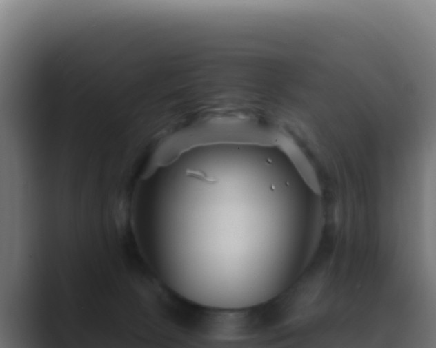 X0000089750081200706281633