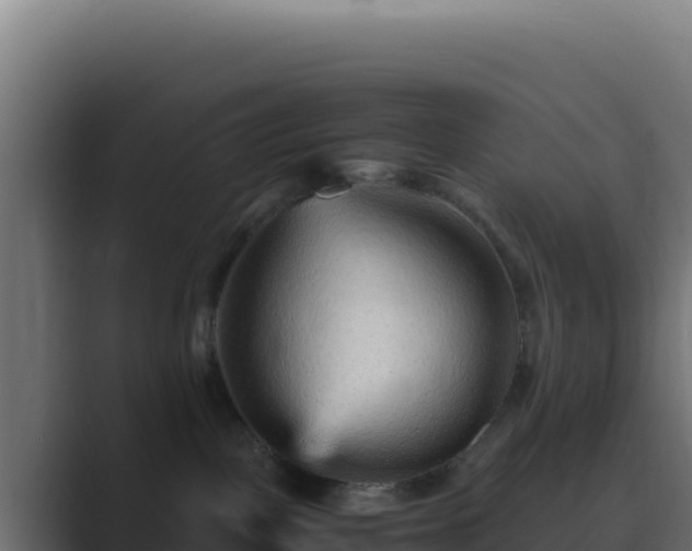 X0000089750093200706281633