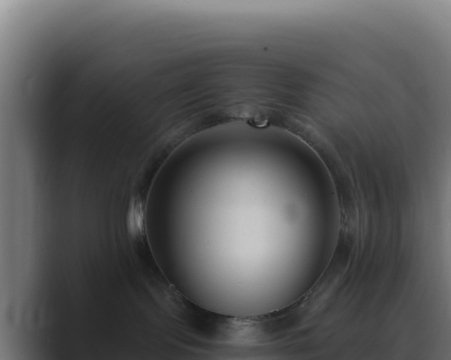 X0000089750095200706281633