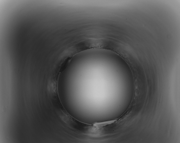 X0000089750096200706281633