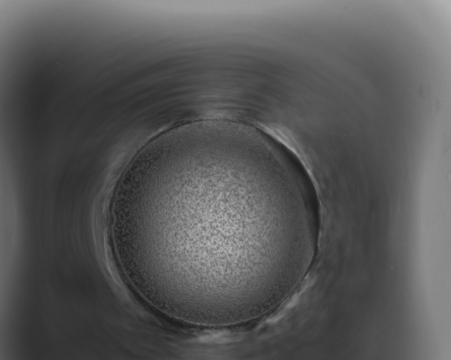 X0000089750097200706281633