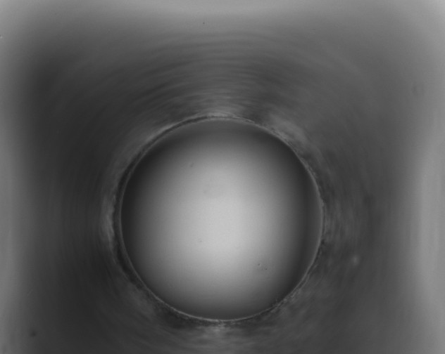 X0000089750098200706281633