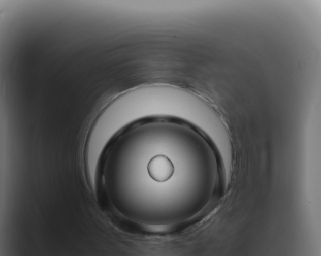 X0000089750099200706281633