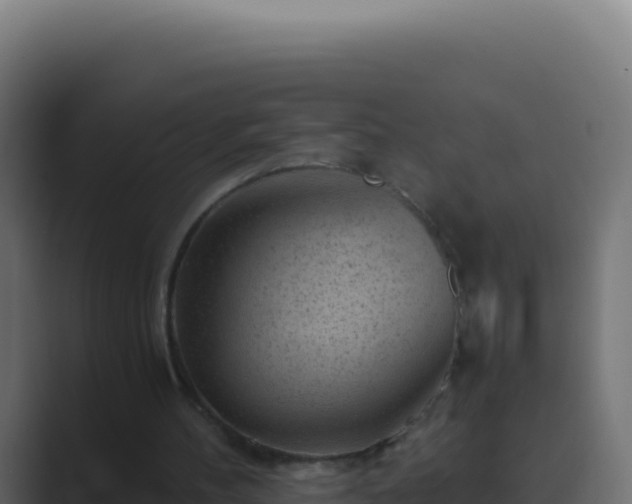 X0000089750100200706281633