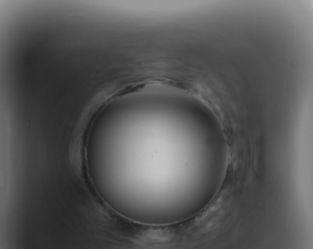 X0000089750101200706281633