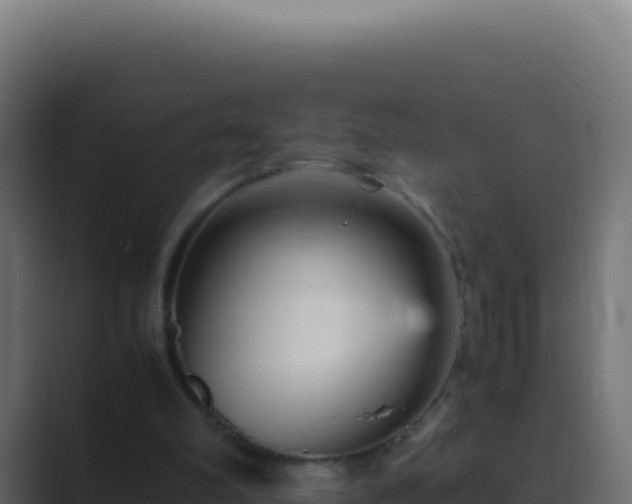 X0000089750102200706281632