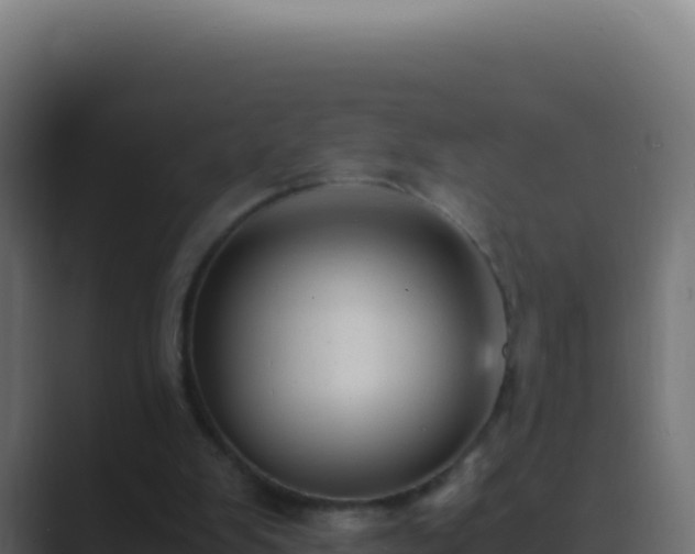 X0000089750103200706281632