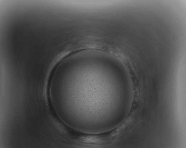 X0000089750104200706281632