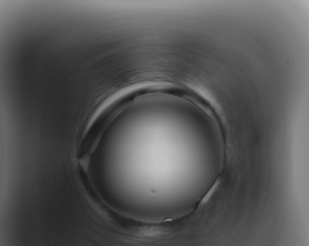 X0000089750105200706281632