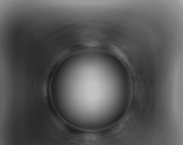 X0000089750106200706281632