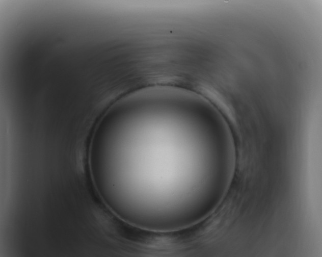 X0000089750107200706281632