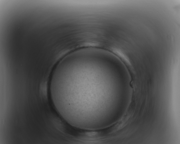 X0000089750108200706281632