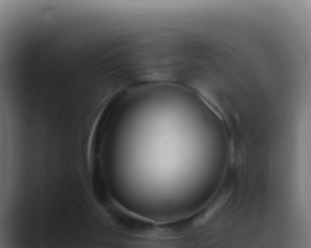 X0000089750109200706281632