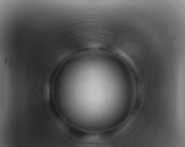 X0000089750110200706281632