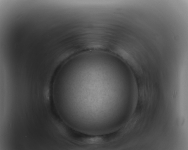 X0000089750112200706281632